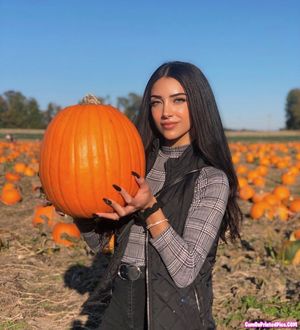 cupofchaii profile picture