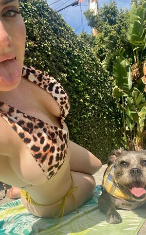 Jojo Levesque profile picture