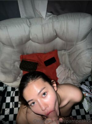 pampeakkk profile picture