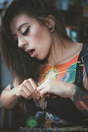 thelittlewillow profile picture