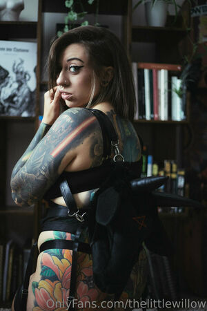 thelittlewillow profile picture